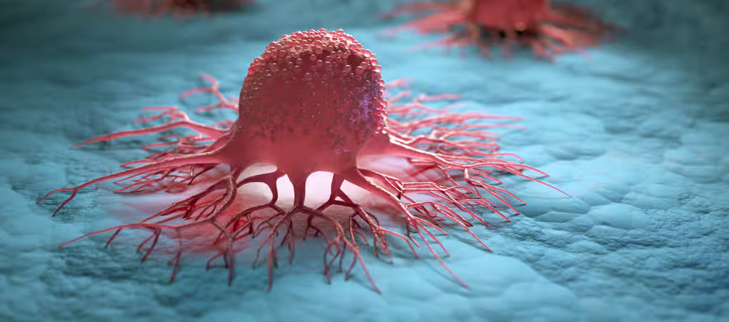 Tecentriq “Bağışıklık kontrol noktası inhibitörlerinin ve etkilerinin ayrıntılı açıklaması”