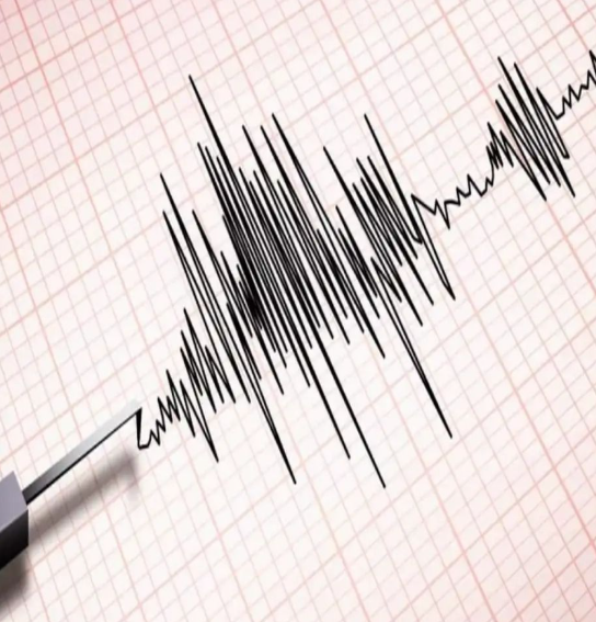 Deprem Öncesi, Anı ve Sonrası İçin Hayat Kurtaran Tedbirler! 