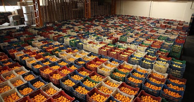 Rusya, Türkiye'nin yaş meyve sebze ihracatındaki liderliğini korudu